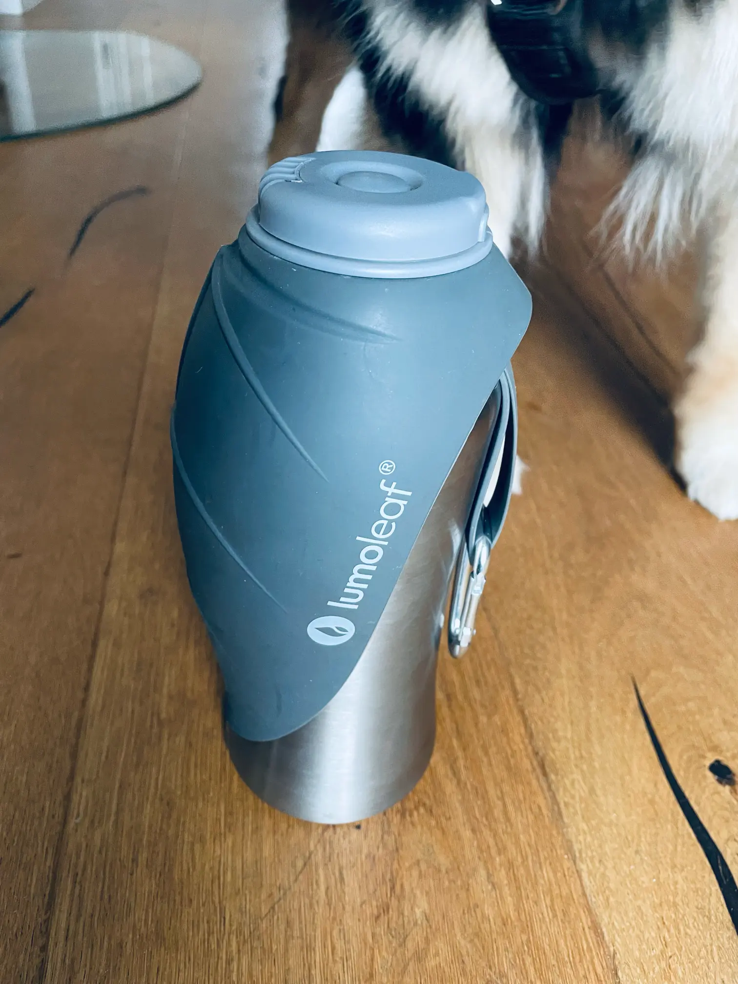 Unverzichtbarer Begleiter für unterwegs: Die Trinkflasche für Hunde